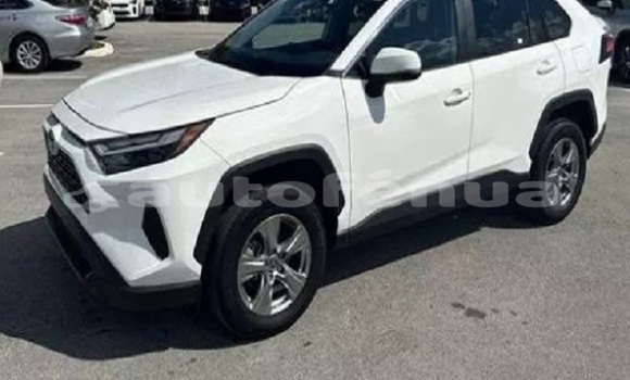 Acheter Occasion Voiture Toyota RAV4 Blanc à Fangatau, Tuamotu