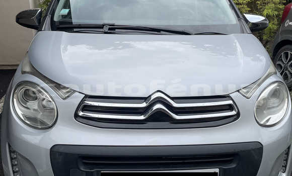 Acheter Occasion Voiture Citroen C1 Gris à Punaauia, Tahiti