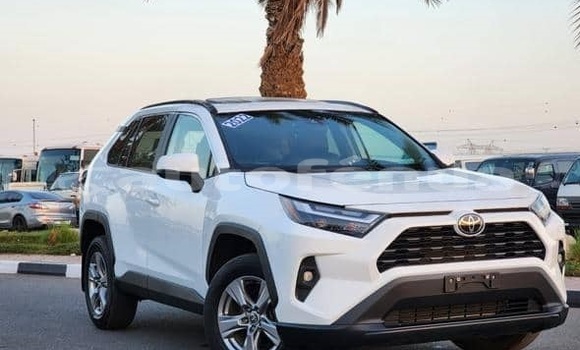 Acheter Occasion Voiture Toyota RAV4 Blanc à Hakahao, Marquesas