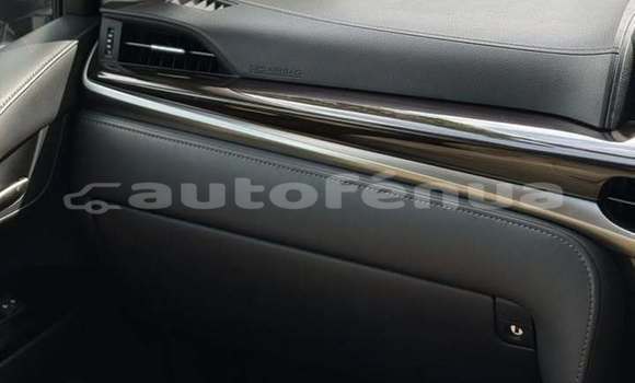 Acheter Occasion Voiture Lexus LX 570 Blanc à Faaa, Tahiti Acheter Occasion Voiture Lexus LX 570 Blanc à Faaa, Tahiti