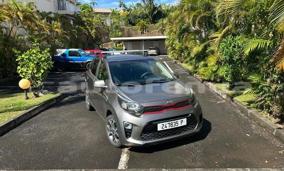 Buy Used Kia Picanto Silver Car in Punaauia in Tahiti