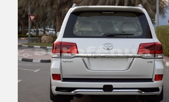 Buy Used Toyota Land Cruiser White Car in Atuona in Marquesas Buy Used Toyota Land Cruiser White Car in Atuona in Marquesas
