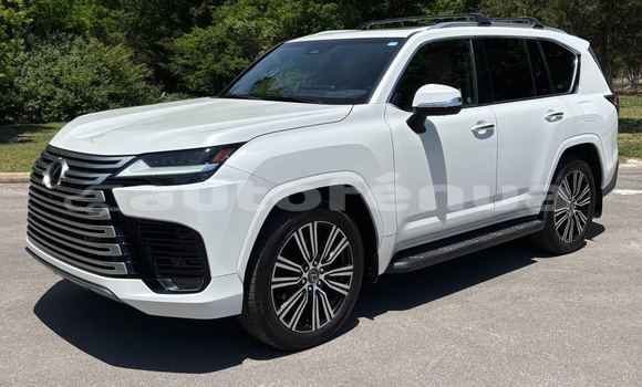 Acheter Occasion Voiture Lexus LX Blanc à Arutua, Tuamotu