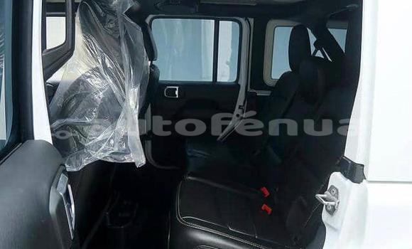 Acheter Occasion Voiture Jeep Wrangler Blanc à Anatonu, Tubuai Acheter Occasion Voiture Jeep Wrangler Blanc à Anatonu, Tubuai