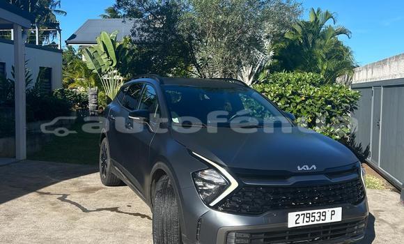 Buy Used Kia Sportage Black Car in Bora–Bora in Bora-Bora Buy Used Kia Sportage Black Car in Bora–Bora in Bora-Bora