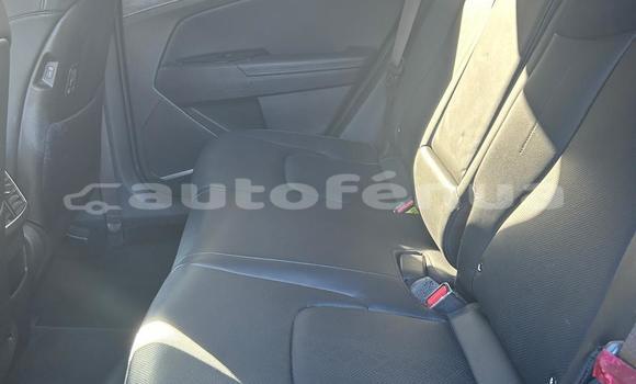 Buy Used Kia Sportage Black Car in Bora–Bora in Bora-Bora Buy Used Kia Sportage Black Car in Bora–Bora in Bora-Bora