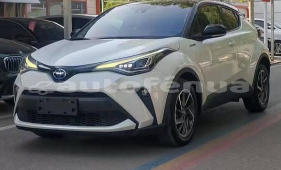 Acheter Occasion Voiture Toyota C-HR Blanc à Amaru, Tubuai