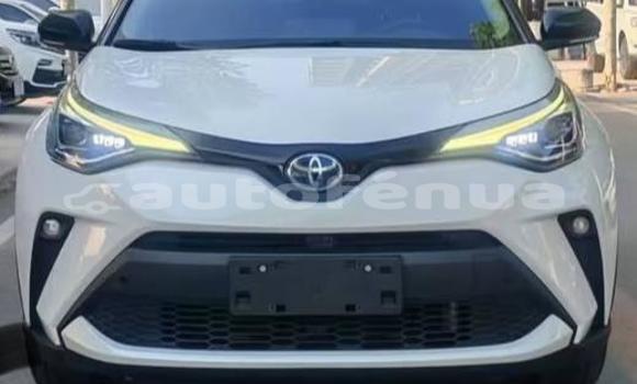 Buy Used Toyota C-HR White Car in Amaru in Tubuai Buy Used Toyota C-HR White Car in Amaru in Tubuai