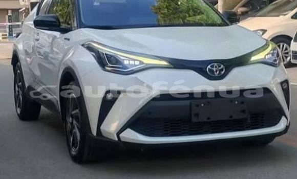 Buy Used Toyota C-HR White Car in Amaru in Tubuai Buy Used Toyota C-HR White Car in Amaru in Tubuai
