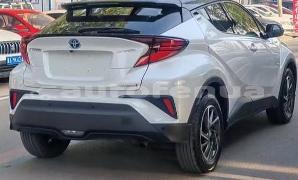 Buy Used Toyota C-HR White Car in Amaru in Tubuai Buy Used Toyota C-HR White Car in Amaru in Tubuai