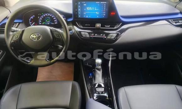 Buy Used Toyota C-HR White Car in Amaru in Tubuai Buy Used Toyota C-HR White Car in Amaru in Tubuai