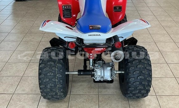 Acheter Neuf Moto Honda TRX Autre à Marokau, Tuamotu Acheter Neuf Moto Honda TRX Autre à Marokau, Tuamotu