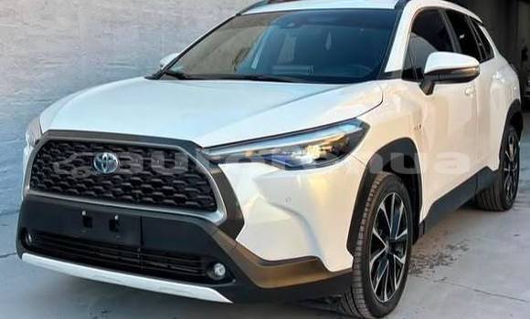 Acheter Occasion Voiture Toyota Corolla Cross Blanc à Amanu, Tuamotu