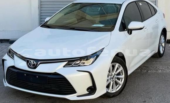 Acheter Occasion Voiture Toyota Corolla Blanc à Apataki, Tuamotu