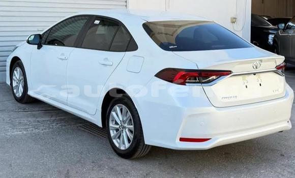 Acheter Occasion Voiture Toyota Corolla Blanc à Apataki, Tuamotu Acheter Occasion Voiture Toyota Corolla Blanc à Apataki, Tuamotu