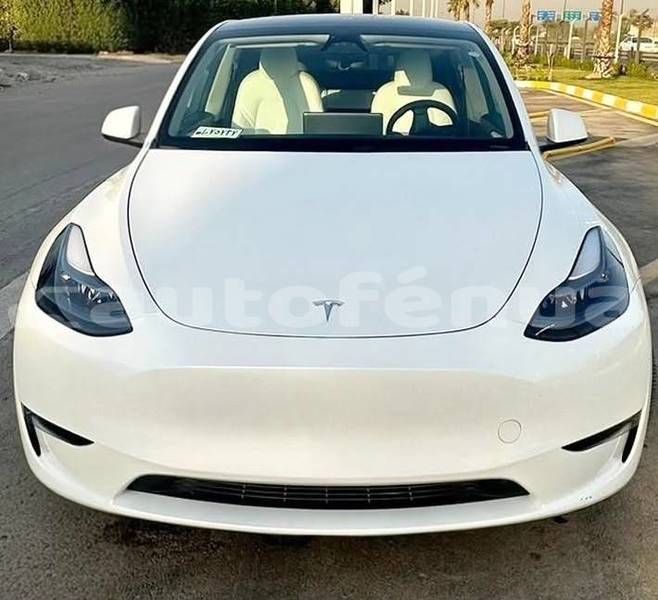 Big with watermark tesla model x tuamotu apataki 5202
