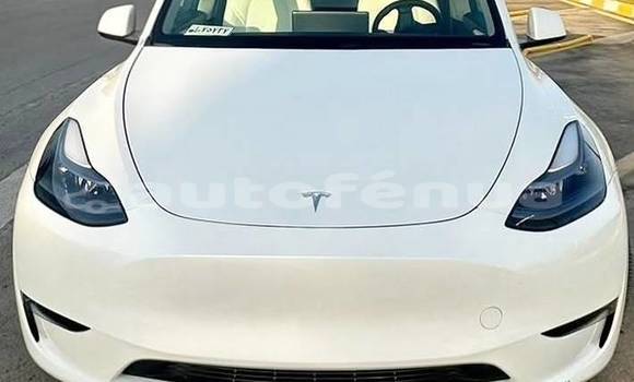 Acheter Occasion Voiture Tesla Model X Blanc à Apataki, Tuamotu