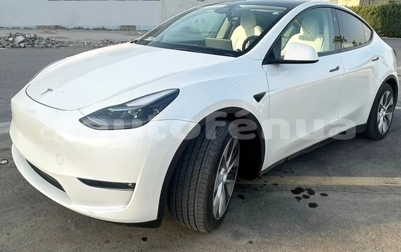 Big with watermark tesla model x tuamotu apataki 5202
