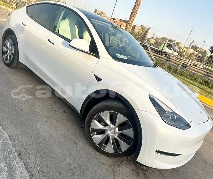 Big with watermark tesla model x tuamotu apataki 5202