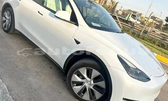 Acheter Occasion Voiture Tesla Model X Blanc à Apataki, Tuamotu Acheter Occasion Voiture Tesla Model X Blanc à Apataki, Tuamotu