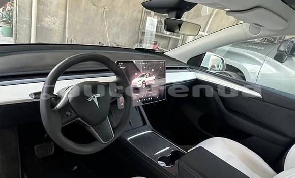 Acheter Occasion Voiture Tesla Model X Blanc à Apataki, Tuamotu Acheter Occasion Voiture Tesla Model X Blanc à Apataki, Tuamotu