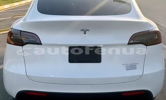 Acheter Occasion Voiture Tesla Model X Blanc à Apataki, Tuamotu Acheter Occasion Voiture Tesla Model X Blanc à Apataki, Tuamotu