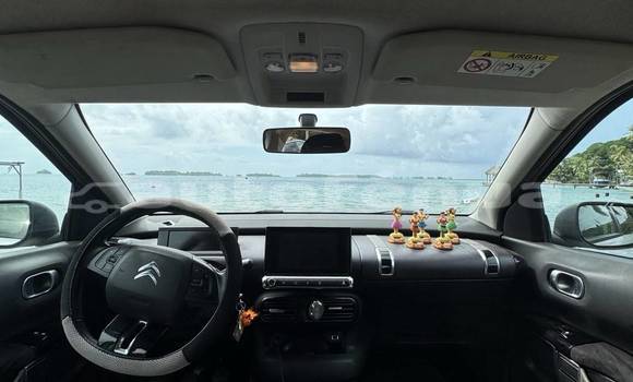 Buy Used Citroen C4 Cactus Silver Car in Bora–Bora in Bora-Bora Buy Used Citroen C4 Cactus Silver Car in Bora–Bora in Bora-Bora