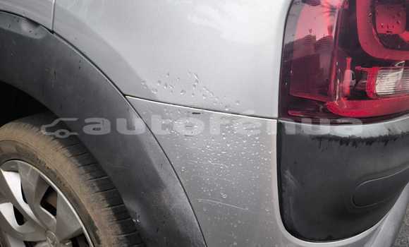 Buy Used Citroen C4 Cactus Silver Car in Bora–Bora in Bora-Bora Buy Used Citroen C4 Cactus Silver Car in Bora–Bora in Bora-Bora