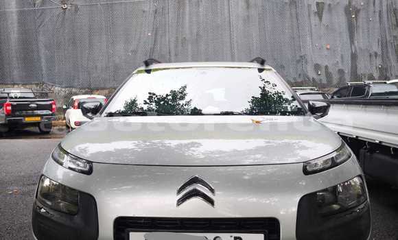 Buy Used Citroen C4 Cactus Silver Car in Bora–Bora in Bora-Bora Buy Used Citroen C4 Cactus Silver Car in Bora–Bora in Bora-Bora