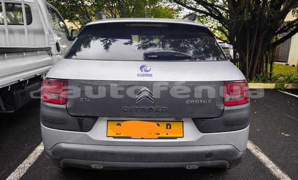 Buy Used Citroen C4 Cactus Silver Car in Bora–Bora in Bora-Bora Buy Used Citroen C4 Cactus Silver Car in Bora–Bora in Bora-Bora