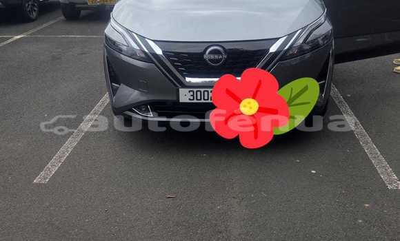 Acheter Occasion Voiture Nissan Qashqai Gris à Taiarapu, Tahiti