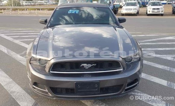 Acheter Import Voiture Ford Mustang Autre à Import - Dubai, Marquesas Acheter Import Voiture Ford Mustang Autre à Import - Dubai, Marquesas