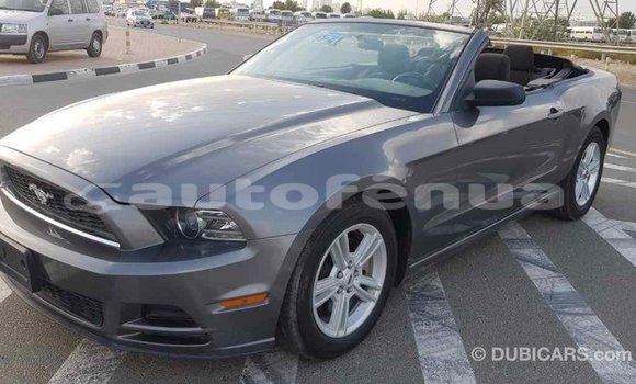 Acheter Import Voiture Ford Mustang Autre à Import - Dubai, Marquesas Acheter Import Voiture Ford Mustang Autre à Import - Dubai, Marquesas