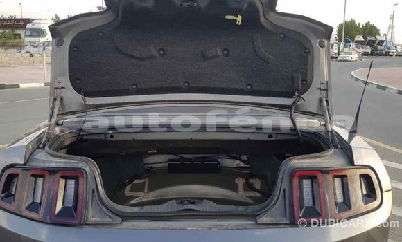 Acheter Import Voiture Ford Mustang Autre à Import - Dubai, Marquesas Acheter Import Voiture Ford Mustang Autre à Import - Dubai, Marquesas