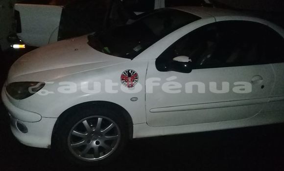 Medium with watermark 30623955 578122035882356 6857030771144654848 n