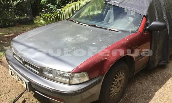 Acheter Occasion Voiture Honda Accord Rouge à Hitiaa O Te Ra, Tahiti