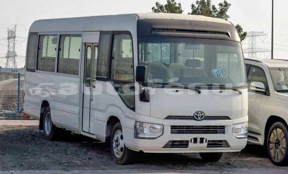 Acheter Import Voiture Toyota Coaster Blanc à Import - Dubai, Marquesas Acheter Import Voiture Toyota Coaster Blanc à Import - Dubai, Marquesas