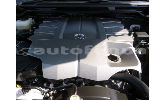 Buy Import Toyota Land Cruiser Other Car in Import - Dubai in Marquesas Buy Import Toyota Land Cruiser Other Car in Import - Dubai in Marquesas