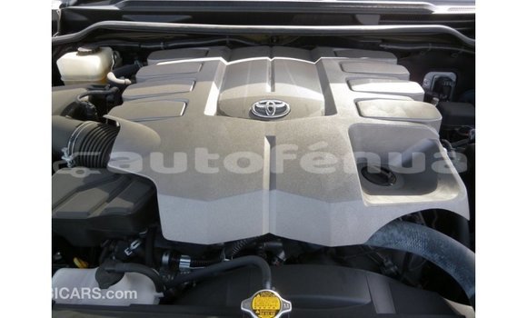 Buy Import Toyota Land Cruiser Black Car in Import - Dubai in Marquesas Buy Import Toyota Land Cruiser Black Car in Import - Dubai in Marquesas