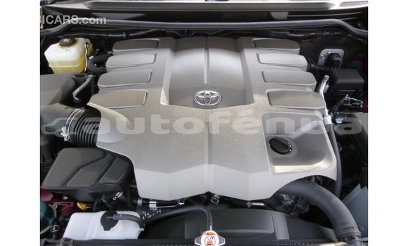 Buy Import Toyota Land Cruiser Other Car in Import - Dubai in Marquesas Buy Import Toyota Land Cruiser Other Car in Import - Dubai in Marquesas