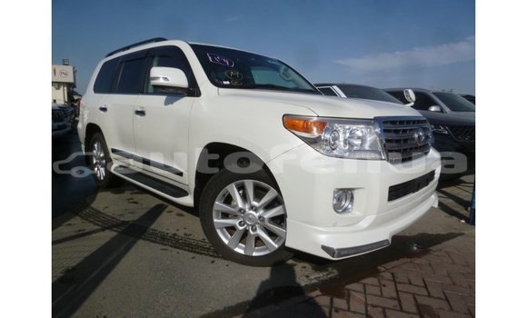Acheter Import Voiture Toyota Land Cruiser Blanc à Import - Dubai, Marquesas