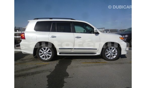 Buy Import Toyota Land Cruiser White Car in Import - Dubai in Marquesas Buy Import Toyota Land Cruiser White Car in Import - Dubai in Marquesas