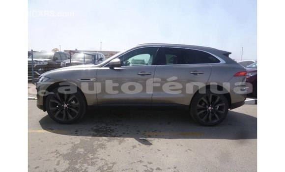 Buy Import Jaguar F-Pace Other Car in Import - Dubai in Marquesas Buy Import Jaguar F-Pace Other Car in Import - Dubai in Marquesas
