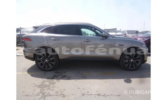Buy Import Jaguar F-Pace Other Car in Import - Dubai in Marquesas Buy Import Jaguar F-Pace Other Car in Import - Dubai in Marquesas