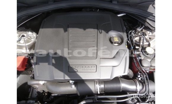 Buy Import Jaguar F-Pace Other Car in Import - Dubai in Marquesas Buy Import Jaguar F-Pace Other Car in Import - Dubai in Marquesas