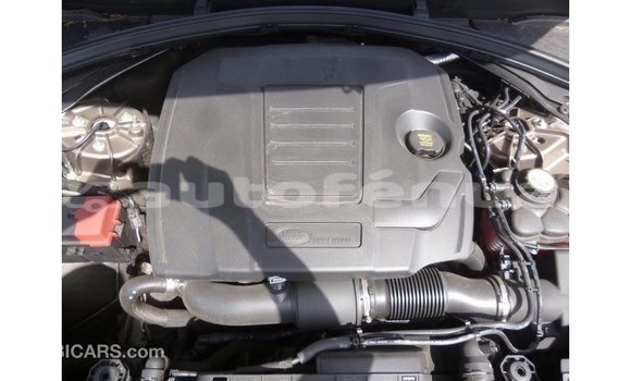 Buy Import Land Rover Range Rover Brown Car in Import - Dubai in Marquesas Buy Import Land Rover Range Rover Brown Car in Import - Dubai in Marquesas