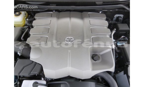Buy Import Toyota Land Cruiser Black Car in Import - Dubai in Marquesas Buy Import Toyota Land Cruiser Black Car in Import - Dubai in Marquesas