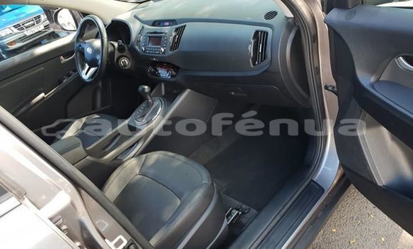 Buy Used Kia Sportage Silver Car in Papeete in Tahiti Buy Used Kia Sportage Silver Car in Papeete in Tahiti