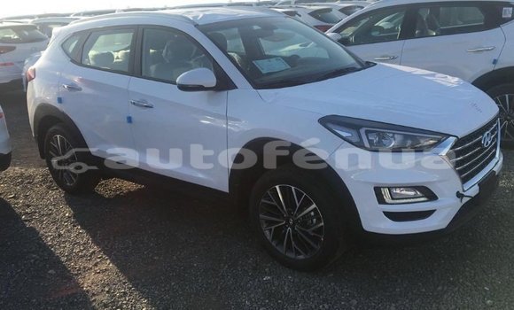 Acheter Import Voiture Hyundai Tucson Blanc à Import - Dubai, Marquesas Acheter Import Voiture Hyundai Tucson Blanc à Import - Dubai, Marquesas