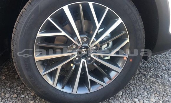 Acheter Import Voiture Hyundai Tucson Blanc à Import - Dubai, Marquesas Acheter Import Voiture Hyundai Tucson Blanc à Import - Dubai, Marquesas